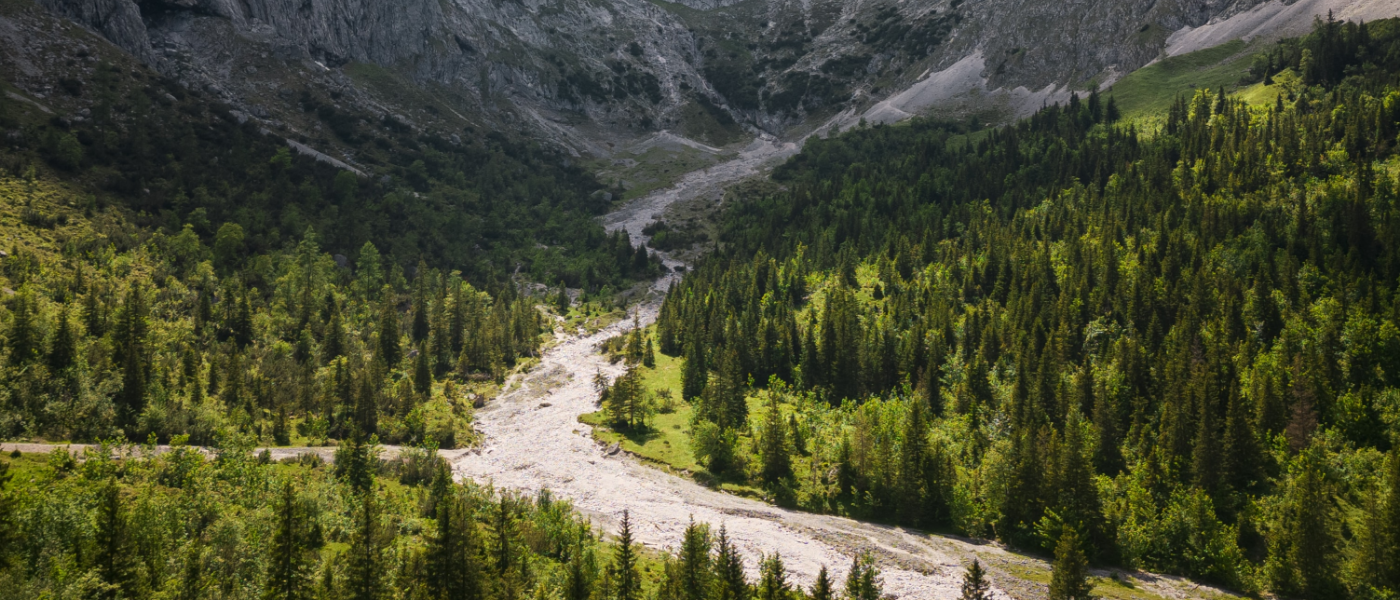 wald